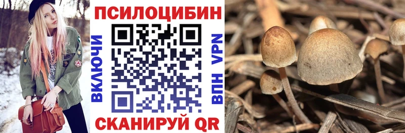Галлюциногенные грибы Psilocybe Полтавская