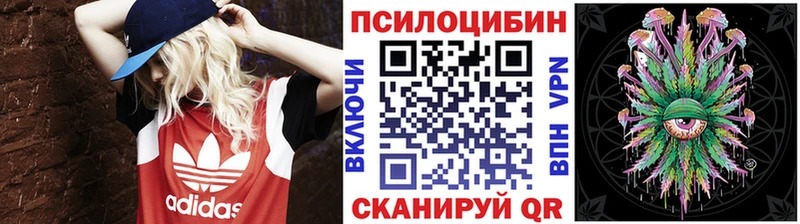Галлюциногенные грибы Psilocybe  Полтавская 